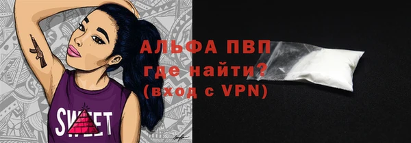 крисы Алзамай