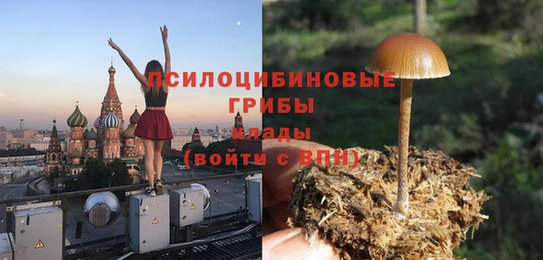 тгк Алексин